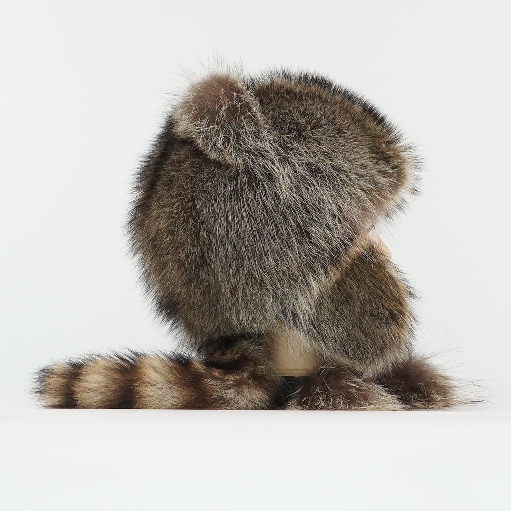 Raccoon Hat
