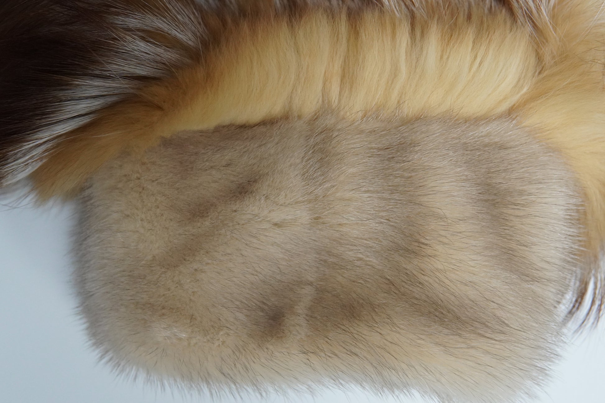 Red Fox Jacket