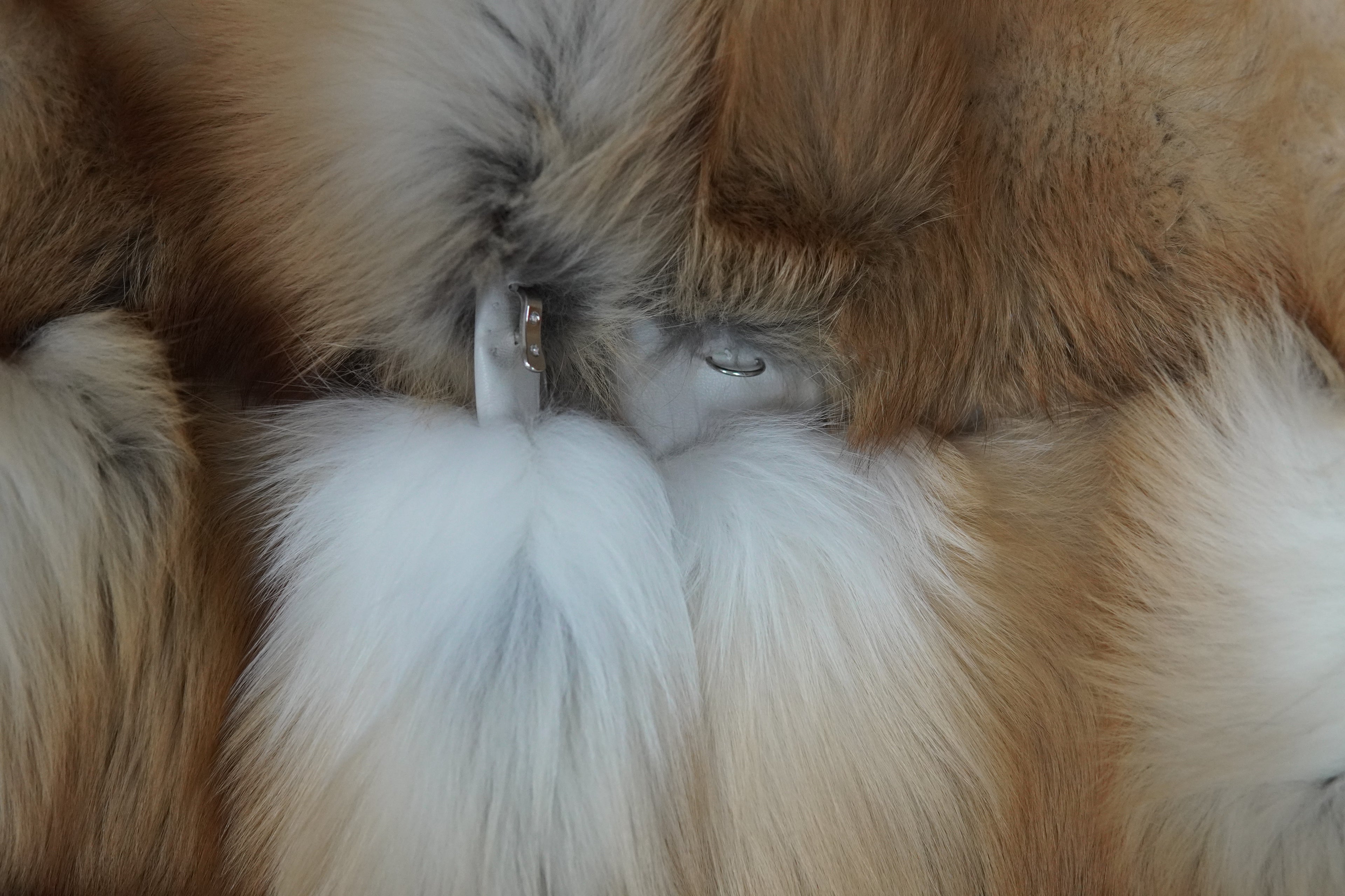 Gold Island Fox Jacket