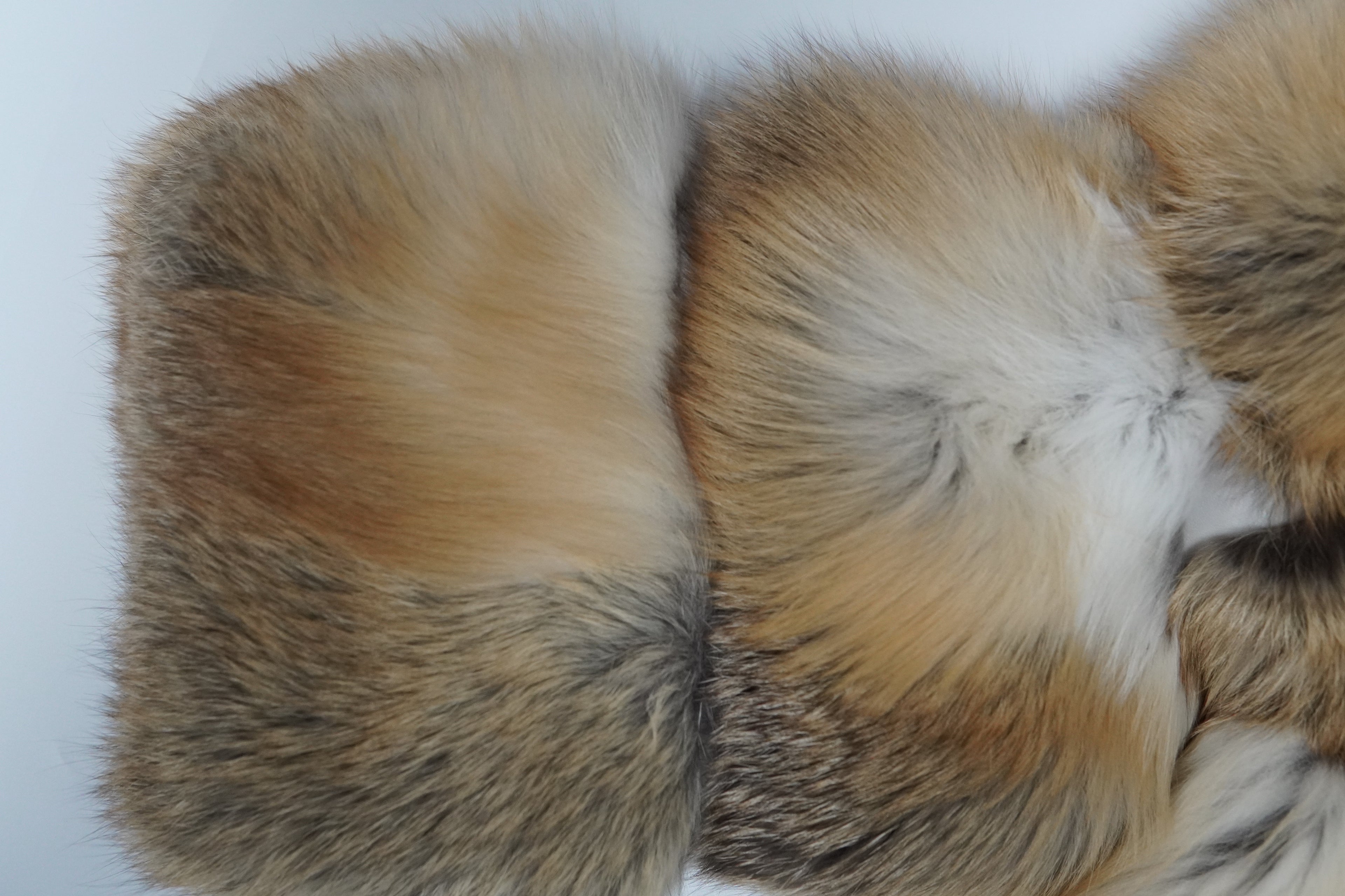 Gold Island Fox Jacket